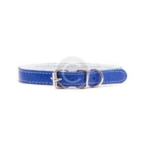 Blue Dog Collar